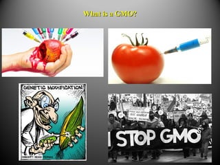 What is a GMO?What is a GMO?
 
