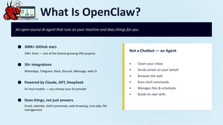 Build and Run Your Own AI Agent on AWS Lightsail with OpenClaw | PDF