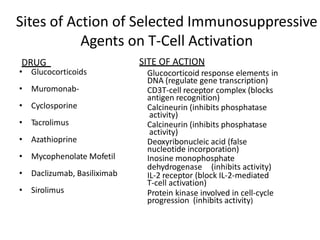 Sites of Action of Selected Immunosuppressive
Agents on T-Cell Activation
DRUG SITE OF ACTION
Glucocorticoid response elements in
DNA (regulate gene transcription)
CD3T-cell receptor complex (blocks
antigen recognition)
Calcineurin (inhibits phosphatase
activity)
Calcineurin (inhibits phosphatase
activity)
Deoxyribonucleic acid (false
nucleotide incorporation)
Inosine monophosphate
dehydrogenase (inhibits activity)
IL-2 receptor (block IL-2-mediated
T-cell activation)
Protein kinase involved in cell-cycle
progression (inhibits activity)
• Glucocorticoids
• Muromonab-
• Cyclosporine
• Tacrolimus
• Azathioprine
• Mycophenolate Mofetil
• Daclizumab, Basiliximab
• Sirolimus
 
