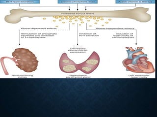 Agents affecting mineral ion homeostasis and bone turnover | PPTX