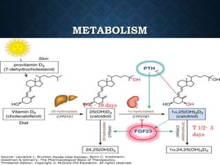 Agents affecting mineral ion homeostasis and bone turnover | PPTX