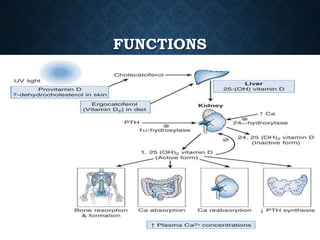 Agents affecting mineral ion homeostasis and bone turnover | PPTX