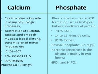 Agents affecting mineral ion homeostasis and bone turnover | PPTX