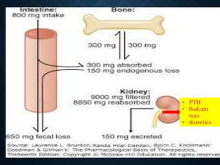 Agents affecting mineral ion homeostasis and bone turnover | PPTX
