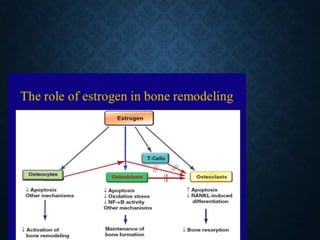 Agents affecting mineral ion homeostasis and bone turnover | PPTX