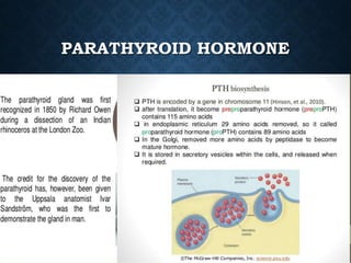 Agents affecting mineral ion homeostasis and bone turnover | PPTX