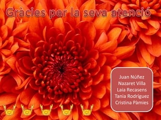 Juan Núñez
  Nazaret Villa
 Laia Recasens
Tania Rodríguez
Cristina Pàmies
 