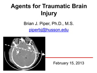 Agents for Traumatic Brain
          Injury
    Brian J. Piper, Ph.D., M.S.
       piperbj@husson.edu




                   February 15, 2013
 