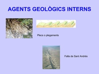 AGENTS GEOLÒGICS INTERNS Falla de Sant Andrés Plecs o plegaments 