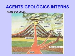 AGENTS GEOLÒGICS INTERNS PARTS D’UN VOLCÀ 