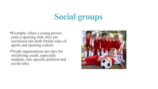 Social groups
Example: when a young person
joins a sporting club, they are
socialized into both formal rules of
sports and sporting culture.
Youth organizations are sites for
socializing youth, especially
students, into specific political and
social roles.
 