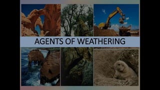 AGENTS OF WEATHERING
 