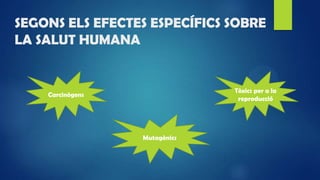 SEGONS ELS EFECTES ESPECÍFICS SOBRE
LA SALUT HUMANA
Carcinògens
Mutagènics
Tòxics per a la
reproducció
 