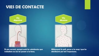 VIES DE CONTACTE
Via
digestiva
Via
dèrmica
És poc corrent, perquè amb les substàncies que
treballem no ens les posem a la boca.
Mitjançant la pell, passa a la sang i que ho
distribuirà per tot l’organisme.
 