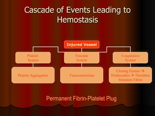 Cascade of Events Leading to Hemostasis Injured Vessel Platelet  System Vascular System Coagulation System Clotting Factors   Prothrombin    Thrombin Stimulate Fibrin Vasoconstriction Platelet Aggregation Permanent Fibrin-Platelet Plug 