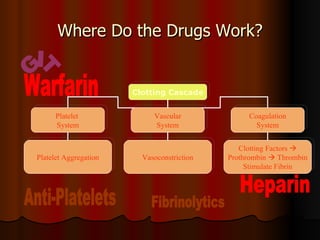 Where Do the Drugs Work? Clotting Cascade Platelet  System Vascular System Coagulation System Clotting Factors   Prothrombin    Thrombin Stimulate Fibrin Vasoconstriction Platelet Aggregation Heparin Warfarin GIT Anti-Platelets Fibrinolytics 