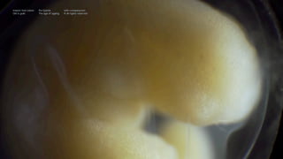 OLD IS GOLD
IMPACT HUB LISBON
THE AGE
OF AGEING
WITH-COMPANY.COM
® ALL RIGHTS RESERVED
Impact Hub Lisbon
Old is gold
Rui Quinta
The age of ageing
with-company.com
® all rights reserved
 