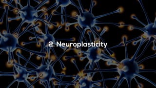 Note: Taken from The Biological Power of Push and Pull by Peter Trainor, NEXUS
 