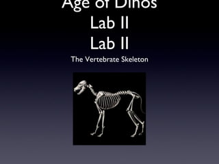 Age of Dinos Lab II Lab II ,[object Object]