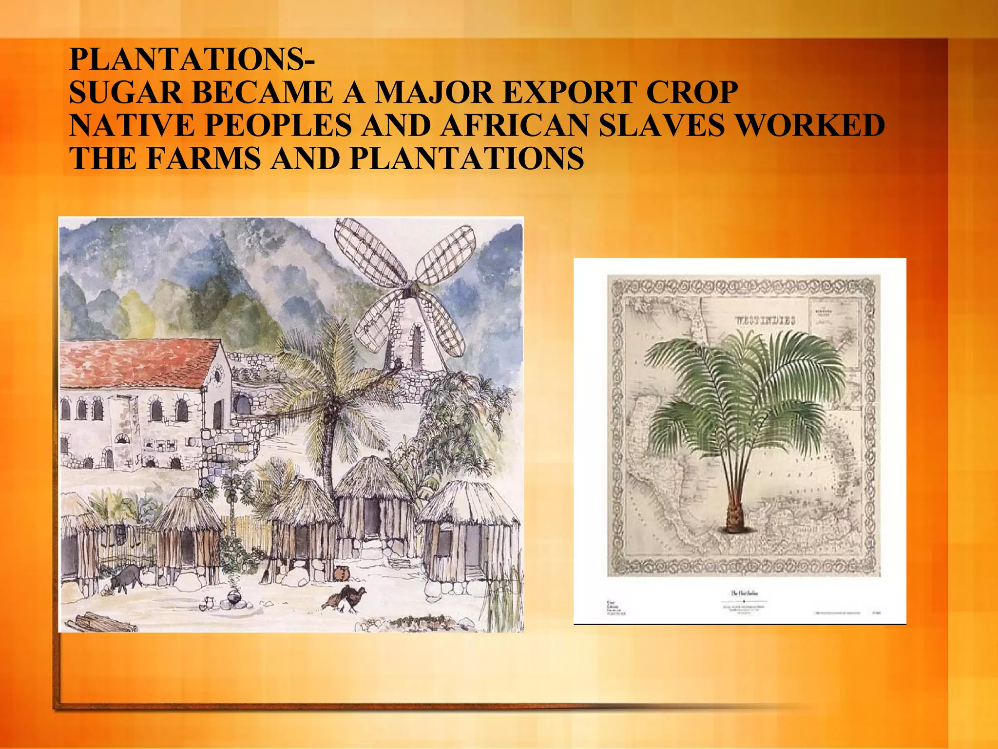 PLANTATIONS- SUGAR BECAME A MAJOR EXPORT CROP NATIVE PEOPLES AND AFRICAN SLAVES WORKED THE FARMS AND PLANTATIONS 