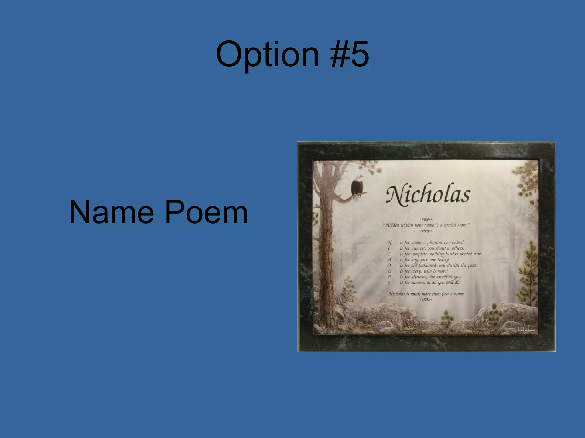 Option #5 Name Poem