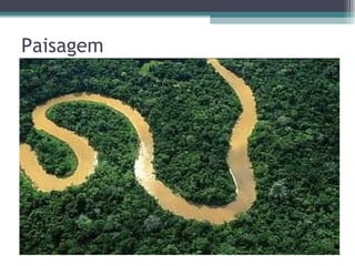 Paisagem
 