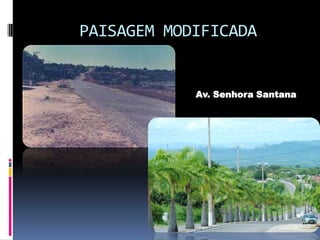 PAISAGEM MODIFICADA


            Av. Senhora Santana
 