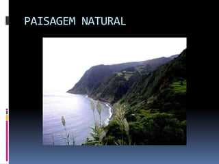 PAISAGEM NATURAL
 