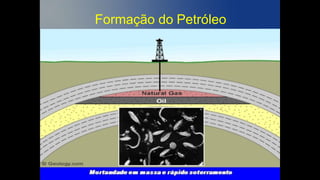 Formação do Petróleo
 