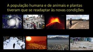 A população humana e de animais e plantas
tiveram que se readaptar às novas condições
 