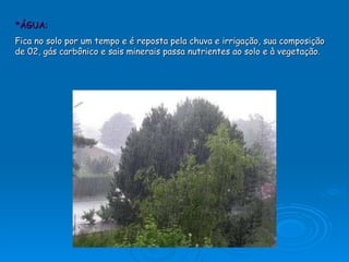 *ÁGUA: Fica no solo por um tempo e é reposta pela chuva e irrigação, sua composição de 02, gás carbônico e sais minerais passa nutrientes ao solo e à vegetação.   