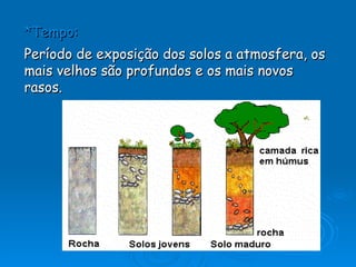 *Tempo: Período de exposição dos solos a atmosfera, os mais velhos são profundos e os mais novos rasos.   