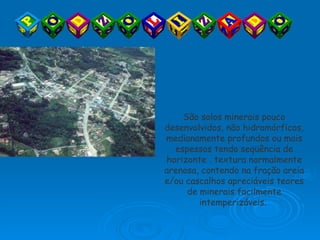 São solos minerais pouco desenvolvidos, não hidromórficos, medianamente profundos ou mais espessos tendo seqüência de horizonte , textura normalmente arenosa, contendo na fração areia e/ou cascalhos apreciáveis teores de minerais facilmente intemperizáveis.  