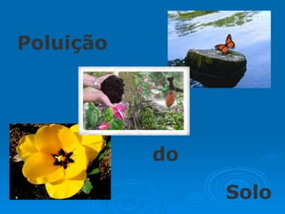 Poluição   Solo do 