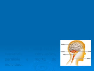 Organoclorados musculatura involuntária e depressão dos sistemas vitais como  respiração,  causando convulsões, paralisia e morte do indivíduo. Intoxicação :  Atuam sobre o sistema nervoso central resultando em distúrbios comportamentais, sensoriais,  equilibrio, 