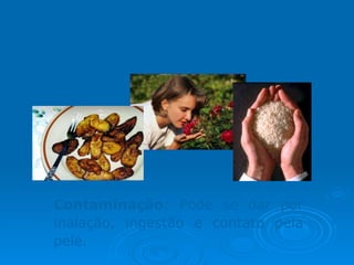 Organoclorados Contaminação : Pode se dar por inalação, ingestão e contato pela pele. 