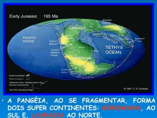 A PANGÉIA, AO SE FRAGMENTAR, FORMA DOIS SUPER CONTINENTES:  GONDWANA , AO SUL E,  LAURÁSIA  AO NORTE. 