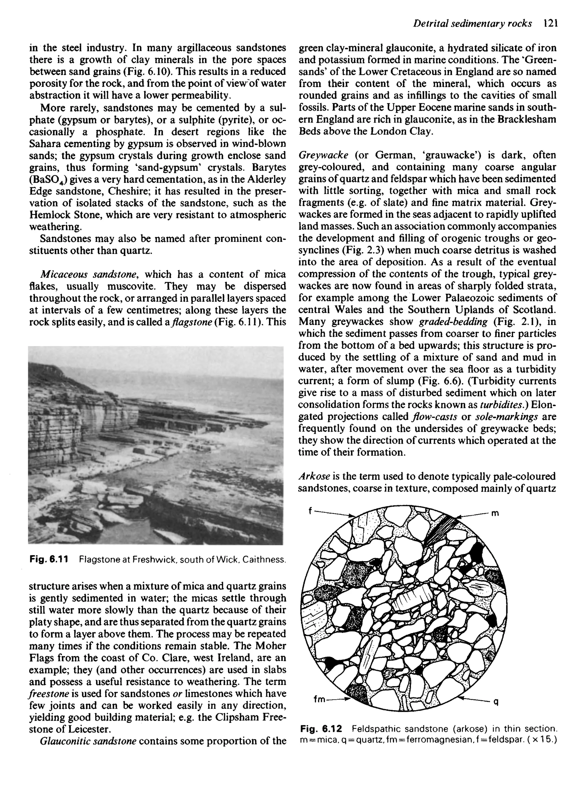 in the steel industry. In many argillaceous sandstones
there is a growth of clay minerals in the pore spaces
between sand grains (Fig. 6.10). This results in a reduced
porosity for the rock, and from the point of view^of water
abstraction it will have a lower permeability.
More rarely, sandstones may be cemented by a sul-
phate (gypsum or barytes), or a sulphite (pyrite), or oc-
casionally a phosphate. In desert regions like the
Sahara cementing by gypsum is observed in wind-blown
sands; the gypsum crystals during growth enclose sand
grains, thus forming 'sand-gypsum' crystals. Barytes
(BaSO4) gives a very hard cementation, as in the Alderley
Edge sandstone, Cheshire; it has resulted in the preser-
vation of isolated stacks of the sandstone, such as the
Hemlock Stone, which are very resistant to atmospheric
weathering.
Sandstones may also be named after prominent con-
stituents other than quartz.
Micaceous sandstone, which has a content of mica
flakes, usually muscovite. They may be dispersed
throughout the rock, or arranged in parallel layers spaced
at intervals of a few centimetres; along these layers the
rock splits easily, and is called aflagstone(Fig. 6.11). This
green clay-mineral glauconite, a hydrated silicate of iron
and potassium formed in marine conditions. The 'Green-
sands' of the Lower Cretaceous in England are so named
from their content of the mineral, which occurs as
rounded grains and as infillings to the cavities of small
fossils. Parts of the Upper Eocene marine sands in south-
ern England are rich in glauconite, as in the Bracklesham
Beds above the London Clay.
Greywacke (or German, 'grauwacke') is dark, often
grey-coloured, and containing many coarse angular
grains of quartz and feldspar which have been sedimented
with little sorting, together with mica and small rock
fragments (e.g. of slate) and fine matrix material. Grey-
wackes are formed in the seas adjacent to rapidly uplifted
land masses. Such an association commonly accompanies
the development and filling of orogenic troughs or geo-
synclines (Fig. 2.3) when much coarse detritus is washed
into the area of deposition. As a result of the eventual
compression of the contents of the trough, typical grey-
wackes are now found in areas of sharply folded strata,
for example among the Lower Palaeozoic sediments of
central Wales and the Southern Uplands of Scotland.
Many greywackes show graded-bedding (Fig. 2.1), in
which the sediment passes from coarser to finer particles
from the bottom of a bed upwards; this structure is pro-
duced by the settling of a mixture of sand and mud in
water, after movement over the sea floor as a turbidity
current; a form of slump (Fig. 6.6). (Turbidity currents
give rise to a mass of disturbed sediment which on later
consolidation forms the rocks known as turbidites.) Elon-
gated projections called flow-casts or sole-markings are
frequently found on the undersides of greywacke beds;
they show the direction of currents which operated at the
time of their formation.
Arkose is the term used to denote typically pale-coloured
sandstones, coarse in texture, composed mainly of quartz
Fig. 6.11 Flagstone at Freshwick, south of Wick. Caithness,
structure arises when a mixture of mica and quartz grains
is gently sedimented in water; the micas settle through
still water more slowly than the quartz because of their
platy shape, and are thus separated from the quartz grains
to form a layer above them. The process may be repeated
many times if the conditions remain stable. The Moher
Flags from the coast of Co. Clare, west Ireland, are an
example; they (and other occurrences) are used in slabs
and possess a useful resistance to weathering. The term
freestone is used for sandstones or limestones which have
few joints and can be worked easily in any direction,
yielding good building material; e.g. the Clipsham Free-
stone of Leicester.
Glauconitic sandstone contains some proportion of the
Fig. 6.12 Feldspathic sandstone (arkose) in thin section.
m = mica.q = quartz,fm==ferromagnesian,f== feldspar. ( x 1 5.)
 