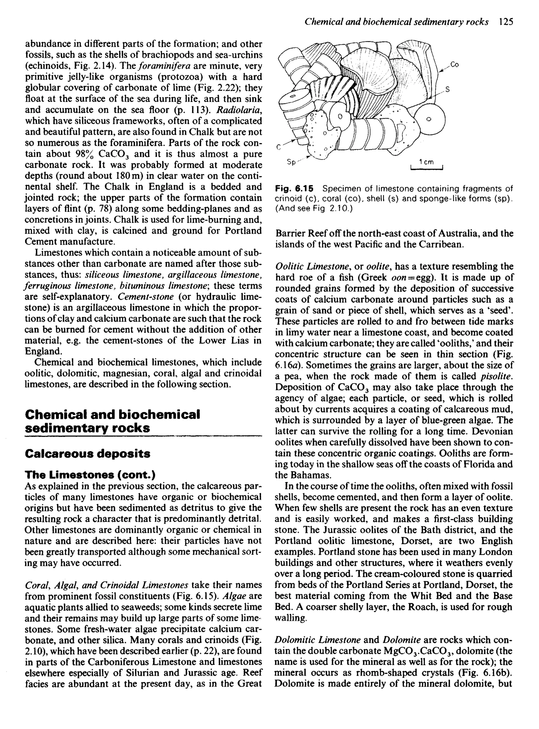 abundance in different parts of the formation; and other
fossils, such as the shells of brachiopods and sea-urchins
(echinoids, Fig. 2.14). Theforaminifera are minute, very
primitive jelly-like organisms (protozoa) with a hard
globular covering of carbonate of lime (Fig. 2.22); they
float at the surface of the sea during life, and then sink
and accumulate on the sea floor (p. 113). Radiolaria,
which have siliceous frameworks, often of a complicated
and beautiful pattern, are also found in Chalk but are not
so numerous as the foraminifera. Parts of the rock con-
tain about 98% CaCO3 and it is thus almost a pure
carbonate rock. It was probably formed at moderate
depths (round about 18Om) in clear water on the conti-
nental shelf. The Chalk in England is a bedded and
jointed rock; the upper parts of the formation contain
layers of flint (p. 78) along some bedding-planes and as
concretions in joints. Chalk is used for lime-burning and,
mixed with clay, is calcined and ground for Portland
Cement manufacture.
Limestones which contain a noticeable amount of sub-
stances other than carbonate are named after those sub-
stances, thus: siliceous limestone, argillaceous limestone,
ferruginous limestone, bituminous limestone', these terms
are self-explanatory. Cement-stone (or hydraulic lime-
stone) is an argillaceous limestone in which the propor-
tions ofclay and calcium carbonate are such that the rock
can be burned for cement without the addition of other
material, e.g. the cement-stones of the Lower Lias in
England.
Chemical and biochemical limestones, which include
oolitic, dolomitic, magnesian, coral, algal and crinoidal
limestones, are described in the following section.
Chemical and biochemical
sedimentary rocks
Calcareous deposits
The Limestones (cont.)
As explained in the previous section, the calcareous par-
ticles of many limestones have organic or biochemical
origins but have been sedimented as detritus to give the
resulting rock a character that is predominantly detrital.
Other limestones are dominantly organic or chemical in
nature and are described here: their particles have not
been greatly transported although some mechanical sort-
ing may have occurred.
Coral, Algal, and Crinoidal Limestones take their names
from prominent fossil constituents (Fig. 6.15). Algae are
aquatic plants allied to seaweeds; some kinds secrete lime
and their remains may build up large parts of some lime-
stones. Some fresh-water algae precipitate calcium car-
bonate, and other silica. Many corals and crinoids (Fig.
2.10), which have been described earlier (p. 22), are found
in parts of the Carboniferous Limestone and limestones
elsewhere especially of Silurian and Jurassic age. Reef
facies are abundant at the present day, as in the Great
Fig. 6.15 Specimen of limestone containing fragments of
crinoid (c), coral (co), shell (s) and sponge-like forms (sp).
(And see Fig 2.10.)
Barrier Reef off the north-east coast of Australia, and the
islands of the west Pacific and the Carribean.
Oolitic Limestone, or oolite, has a texture resembling the
hard roe of a fish (Greek 00« = egg). It is made up of
rounded grains formed by the deposition of successive
coats of calcium carbonate around particles such as a
grain of sand or piece of shell, which serves as a 'seed'.
These particles are rolled to and fro between tide marks
in limy water near a limestone coast, and become coated
with calcium carbonate; they are called 'ooliths,' and their
concentric structure can be seen in thin section (Fig.
6,16«). Sometimes the grains are larger, about the size of
a pea, when the rock made of them is called pisolite.
Deposition of CaCO3 may also take place through the
agency of algae; each particle, or seed, which is rolled
about by currents acquires a coating of calcareous mud,
which is surrounded by a layer of blue-green algae. The
latter can survive the rolling for a long time. Devonian
oolites when carefully dissolved have been shown to con-
tain these concentric organic coatings. Ooliths are form-
ing today in the shallow seas off the coasts of Florida and
the Bahamas.
In the course of time the ooliths, often mixed with fossil
shells, become cemented, and then form a layer of oolite.
When few shells are present the rock has an even texture
and is easily worked, and makes a first-class building
stone. The Jurassic oolites of the Bath district, and the
Portland oolitic limestone, Dorset, are two English
examples. Portland stone has been used in many London
buildings and other structures, where it weathers evenly
over a long period. The cream-coloured stone is quarried
from beds of the Portland Series at Portland, Dorset, the
best material coming from the Whit Bed and the Base
Bed. A coarser shelly layer, the Roach, is used for rough
walling,
Dolomitic Limestone and Dolomite are rocks which con-
tain the double carbonate MgCO3-CaCO3, dolomite (the
name is used for the mineral as well as for the rock); the
mineral occurs as rhomb-shaped crystals (Fig. 6.16b).
Dolomite is made entirely of the mineral dolomite, but
 