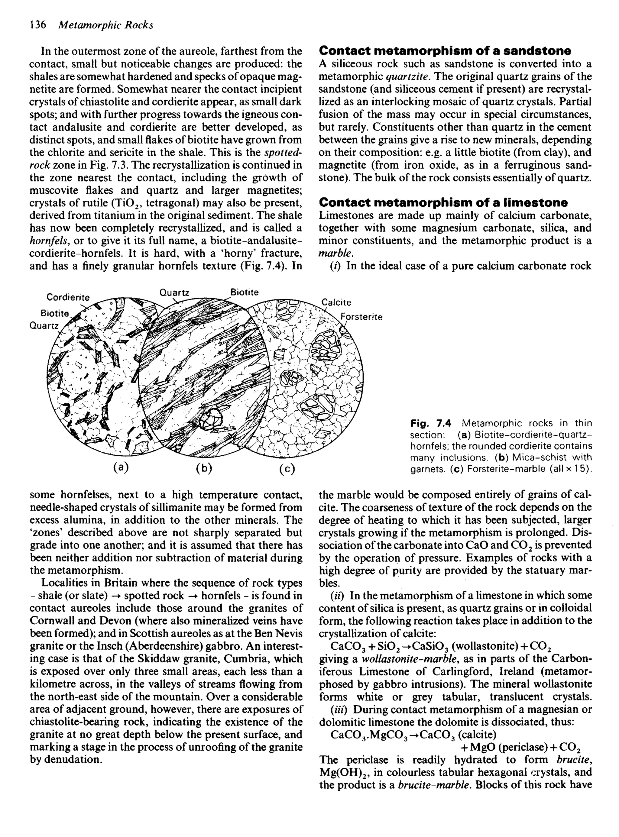 In the outermost zone of the aureole, farthest from the
contact, small but noticeable changes are produced: the
shales are somewhat hardened and specks of opaque mag-
netite are formed. Somewhat nearer the contact incipient
crystals of chiastolite and cordierite appear, as small dark
spots; and with further progress towards the igneous con-
tact andalusite and cordierite are better developed, as
distinct spots, and small flakes of biotite have grown from
the chlorite and sericite in the shale. This is the spotted-
rock zone in Fig. 7.3. The recrystallization is continued in
the zone nearest the contact, including the growth of
muscovite flakes and quartz and larger magnetites;
crystals of rutile (TiO2, tetragonal) may also be present,
derived from titanium in the original sediment. The shale
has now been completely recrystallized, and is called a
hornfels, or to give it its full name, a biotite-andalusite-
cordierite-hornfels. It is hard, with a 'horny' fracture,
and has a finely granular hornfels texture (Fig. 7.4). In
Contact metamorphism of a sandstone
A siliceous rock such as sandstone is converted into a
metamorphic quartzite. The original quartz grains of the
sandstone (and siliceous cement if present) are recrystal-
lized as an interlocking mosaic of quartz crystals. Partial
fusion of the mass may occur in special circumstances,
but rarely. Constituents other than quartz in the cement
between the grains give a rise to new minerals, depending
on their composition: e.g. a little biotite (from clay), and
magnetite (from iron oxide, as in a ferruginous sand-
stone). The bulk of the rock consists essentially of quartz.
Contact metamorphism of a limestone
Limestones are made up mainly of calcium carbonate,
together with some magnesium carbonate, silica, and
minor constituents, and the metamorphic product is a
marble.
(O In the ideal case of a pure calcium carbonate rock
Fig. 7.4 Metamorphic rocks in thin
section, (a) Biotite-cordierite-quartz-
hornfels; the rounded cordierite contains
many inclusions, (b) Mica-schist with
garnets, (c) Forsterite-marble (all x 15).
the marble would be composed entirely of grains of cal-
cite. The coarseness of texture of the rock depends on the
degree of heating to which it has been subjected, larger
crystals growing if the metamorphism is prolonged. Dis-
sociation of the carbonate into CaO and CO2 is prevented
by the operation of pressure. Examples of rocks with a
high degree of purity are provided by the statuary mar-
bles.
(H) In the metamorphism of a limestone in which some
content of silica is present, as quartz grains or in colloidal
form, the following reaction takes place in addition to the
crystallization of calcite:
CaCO3 +SiO2-^CaSiO3 (wollastonite) + CO2
giving a wollastonite-marble, as in parts of the Carbon-
iferous Limestone of Carlingford, Ireland (metamor-
phosed by gabbro intrusions). The mineral wollastonite
forms white or grey tabular, translucent crystals.
(Hi) During contact metamorphism of a magnesian or
dolomitic limestone the dolomite is dissociated, thus:
CaCO3-MgCO3-^CaCO3 (calcite)
+ MgO (periclase) + CO2
The periclase is readily hydrated to form brucite,
Mg(OH)2, in colourless tabular hexagonal crystals, and
the product is a brucite-marble. Blocks of this rock have
Cordierite
Biotite.
Quartz
Quartz Biotite
Calcite
Forsterite
some hornfelses, next to a high temperature contact,
needle-shaped crystals of sillimanite may be formed from
excess alumina, in addition to the other minerals. The
'zones' described above are not sharply separated but
grade into one another; and it is assumed that there has
been neither addition nor subtraction of material during
the metamorphism.
Localities in Britain where the sequence of rock types
- shale (or slate) -• spotted rock -• hornfels - is found in
contact aureoles include those around the granites of
Cornwall and Devon (where also mineralized veins have
been formed); and in Scottish aureoles as at the Ben Nevis
granite or the Insch (Aberdeenshire) gabbro. An interest-
ing case is that of the Skiddaw granite, Cumbria, which
is exposed over only three small areas, each less than a
kilometre across, in the valleys of streams flowing from
the north-east side of the mountain. Over a considerable
area of adjacent ground, however, there are exposures of
chiastolite-bearing rock, indicating the existence of the
granite at no great depth below the present surface, and
marking a stage in the process of unroofing of the granite
by denudation.
 