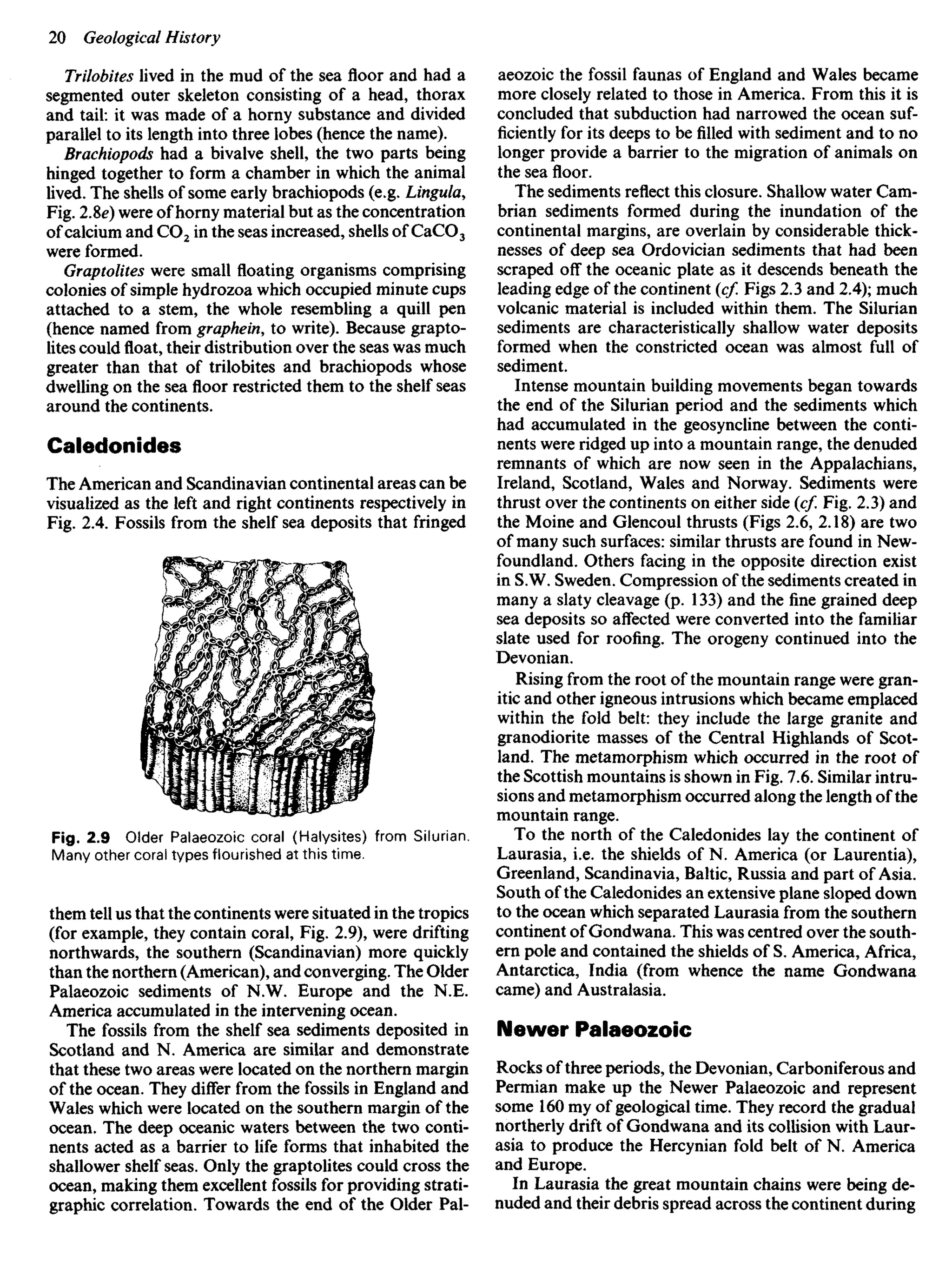 Trilobites lived in the mud of the sea floor and had a
segmented outer skeleton consisting of a head, thorax
and tail: it was made of a horny substance and divided
parallel to its length into three lobes (hence the name).
Brachiopods had a bivalve shell, the two parts being
hinged together to form a chamber in which the animal
lived. The shells of some early brachiopods (e.g. Lingula,
Fig. 2.Se) were of horny material but as the concentration
of calcium and CO2 in the seas increased, shells OfCaCO3
were formed.
Graptolites were small floating organisms comprising
colonies of simple hydrozoa which occupied minute cups
attached to a stem, the whole resembling a quill pen
(hence named from graphein, to write). Because grapto-
lites could float, their distribution over the seas was much
greater than that of trilobites and brachiopods whose
dwelling on the sea floor restricted them to the shelf seas
around the continents.
Caledonides
The American and Scandinavian continental areas can be
visualized as the left and right continents respectively in
Fig. 2.4. Fossils from the shelf sea deposits that fringed
aeozoic the fossil faunas of England and Wales became
more closely related to those in America. From this it is
concluded that subduction had narrowed the ocean suf-
ficiently for its deeps to be filled with sediment and to no
longer provide a barrier to the migration of animals on
the sea floor.
The sediments reflect this closure. Shallow water Cam-
brian sediments formed during the inundation of the
continental margins, are overlain by considerable thick-
nesses of deep sea Ordovician sediments that had been
scraped off the oceanic plate as it descends beneath the
leading edge of the continent (cf. Figs 2.3 and 2.4); much
volcanic material is included within them. The Silurian
sediments are characteristically shallow water deposits
formed when the constricted ocean was almost full of
sediment.
Intense mountain building movements began towards
the end of the Silurian period and the sediments which
had accumulated in the geosyncline between the conti-
nents were ridged up into a mountain range, the denuded
remnants of which are now seen in the Appalachians,
Ireland, Scotland, Wales and Norway. Sediments were
thrust over the continents on either side (cf. Fig. 2.3) and
the Moine and Glencoul thrusts (Figs 2.6, 2.18) are two
of many such surfaces: similar thrusts are found in New-
foundland. Others facing in the opposite direction exist
in S.W. Sweden. Compression of the sediments created in
many a slaty cleavage (p. 133) and the fine grained deep
sea deposits so affected were converted into the familiar
slate used for roofing. The orogeny continued into the
Devonian.
Rising from the root of the mountain range were gran-
itic and other igneous intrusions which became emplaced
within the fold belt: they include the large granite and
granodiorite masses of the Central Highlands of Scot-
land. The metamorphism which occurred in the root of
the Scottish mountains is shown in Fig. 7.6. Similar intru-
sions and metamorphism occurred along the length of the
mountain range.
To the north of the Caledonides lay the continent of
Laurasia, i.e. the shields of N. America (or Laurentia),
Greenland, Scandinavia, Baltic, Russia and part of Asia.
South of the Caledonides an extensive plane sloped down
to the ocean which separated Laurasia from the southern
continent of Gondwana. This was centred over the south-
ern pole and contained the shields of S. America, Africa,
Antarctica, India (from whence the name Gondwana
came) and Australasia.
Newer Palaeozoic
Rocks of three periods, the Devonian, Carboniferous and
Permian make up the Newer Palaeozoic and represent
some 160 my of geological time. They record the gradual
northerly drift of Gondwana and its collision with Laur-
asia to produce the Hercynian fold belt of N. America
and Europe.
In Laurasia the great mountain chains were being de-
nuded and their debris spread across the continent during
Fig. 2.9 Older Palaeozoic coral (Halysites) from Silurian.
Many other coral types flourished at this time.
them tell us that the continents were situated in the tropics
(for example, they contain coral, Fig. 2.9), were drifting
northwards, the southern (Scandinavian) more quickly
than the northern (American), and converging. The Older
Palaeozoic sediments of N.W. Europe and the N.E.
America accumulated in the intervening ocean.
The fossils from the shelf sea sediments deposited in
Scotland and N. America are similar and demonstrate
that these two areas were located on the northern margin
of the ocean. They differ from the fossils in England and
Wales which were located on the southern margin of the
ocean. The deep oceanic waters between the two conti-
nents acted as a barrier to life forms that inhabited the
shallower shelf seas. Only the graptolites could cross the
ocean, making them excellent fossils for providing strati-
graphic correlation. Towards the end of the Older Pal-
 