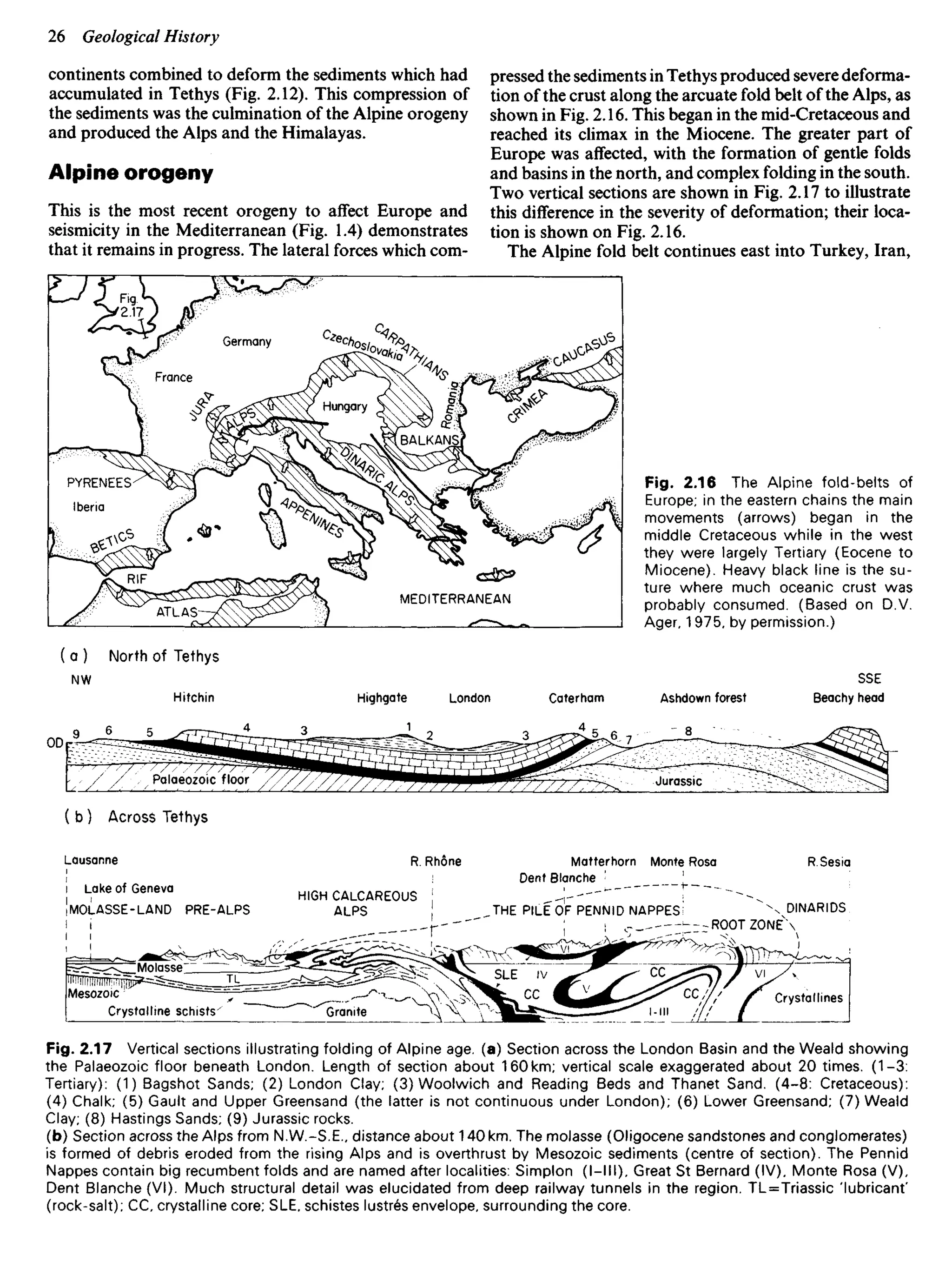 continents combined to deform the sediments which had
accumulated in Tethys (Fig. 2.12). This compression of
the sediments was the culmination of the Alpine orogeny
and produced the Alps and the Himalayas.
Alpine orogeny
This is the most recent orogeny to affect Europe and
seismicity in the Mediterranean (Fig. 1.4) demonstrates
that it remains in progress. The lateral forces which com-
pressed the sediments in Tethys produced severe deforma-
tion of the crust along the arcuate fold belt of the Alps, as
shown in Fig. 2.16. This began in the mid-Cretaceous and
reached its climax in the Miocene. The greater part of
Europe was affected, with the formation of gentle folds
and basins in the north, and complex folding in the south.
Two vertical sections are shown in Fig. 2.17 to illustrate
this difference in the severity of deformation; their loca-
tion is shown on Fig. 2.16.
The Alpine fold belt continues east into Turkey, Iran,
Germany
France
PYRENEES
Iberia
Hungary
MEDITERRANEAN
Fig. 2.16 The Alpine fold-belts of
Europe; in the eastern chains the main
movements (arrows) began in the
middle Cretaceous while in the west
they were largely Tertiary (Eocene to
Miocene). Heavy black line is the su-
ture where much oceanic crust was
probably consumed. (Based on D.V.
Ager, 1 975, by permission.)
North of Tethys
Hitchin Highgate London Caterham Ashdown forest
SSE
Beachy head
Across Tethys
Lausanne
Lake of Geneva
MOLASSE-LAND PRE-ALPS
HIGH CALCAREOUS
ALPS
R. Rhone Matterhorn
Dent Blanche
Monte Rosa R.Sesia
THE PILE OF PENNID NAPPES DINARIDS
ROOT ZONE
Molasse
Mesozoic
Crystalline schists Granite
Crystallines
Fig. 2.17 Vertical sections illustrating folding of Alpine age. (a) Section across the London Basin and the Weald showing
the Palaeozoic floor beneath London. Length of section about 160 km; vertical scale exaggerated about 20 times. (1-3:
Tertiary): (1) Bagshot Sands; (2) London Clay; (3) Woolwich and Reading Beds and Thanet Sand. (4-8: Cretaceous):
(4) Chalk; (5) Gault and Upper Greensand (the latter is not continuous under London); (6) Lower Greensand; (7) Weald
Clay; (8) Hastings Sands; (9) Jurassic rocks.
(b) Section across the Alps from N.W.-S.E., distance about 140 km. The molasse (Oligocene sandstones and conglomerates)
is formed of debris eroded from the rising Alps and is overthrust by Mesozoic sediments (centre of section). The Pennid
Nappes contain big recumbent folds and are named after localities: Simplon <I—III), Great St Bernard (IV), Monte Rosa (V),
Dent Blanche (Vl). Much structural detail was elucidated from deep railway tunnels in the region. TL=Triassic 'lubricant'
(rock-salt); CC, crystalline core; SLE. schistes lustres envelope, surrounding the core.
Palaeozoic floor Jurassic
 