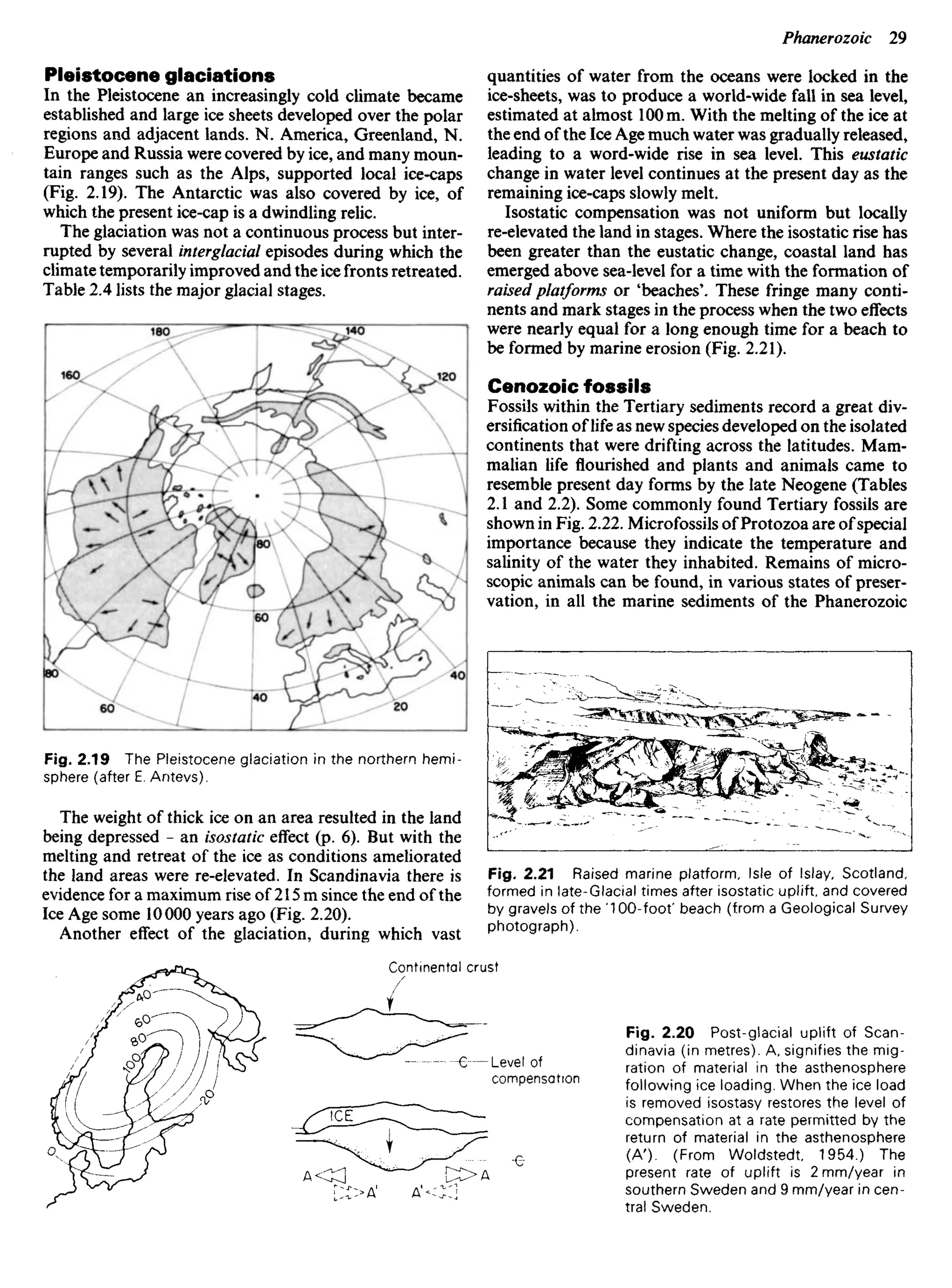 Pleistocene glaciations
In the Pleistocene an increasingly cold climate became
established and large ice sheets developed over the polar
regions and adjacent lands. N. America, Greenland, N.
Europe and Russia were covered by ice, and many moun-
tain ranges such as the Alps, supported local ice-caps
(Fig. 2.19). The Antarctic was also covered by ice, of
which the present ice-cap is a dwindling relic.
The glaciation was not a continuous process but inter-
rupted by several interglacial episodes during which the
climate temporarily improved and the ice fronts retreated.
Table 2.4 lists the major glacial stages.
quantities of water from the oceans were locked in the
ice-sheets, was to produce a world-wide fall in sea level,
estimated at almost 100 m. With the melting of the ice at
the end of the Ice Age much water was gradually released,
leading to a word-wide rise in sea level. This eustatic
change in water level continues at the present day as the
remaining ice-caps slowly melt.
Isostatic compensation was not uniform but locally
re-elevated the land in stages. Where the isostaticrisehas
been greater than the eustatic change, coastal land has
emerged above sea-level for a time with the formation of
raised platforms or 'beaches'. These fringe many conti-
nents and mark stages in the process when the two effects
were nearly equal for a long enough time for a beach to
be formed by marine erosion (Fig. 2.21).
Cenozoic fossils
Fossils within the Tertiary sediments record a great div-
ersification of life as new species developed on the isolated
continents that were drifting across the latitudes. Mam-
malian life flourished and plants and animals came to
resemble present day forms by the late Neogene (Tables
2.1 and 2.2). Some commonly found Tertiary fossils are
shown in Fig. 2.22. Microfossils of Protozoa are ofspecial
importance because they indicate the temperature and
salinity of the water they inhabited. Remains of micro-
scopic animals can be found, in various states of preser-
vation, in all the marine sediments of the Phanerozoic
Fig. 2.19 The Pleistocene glaciation in the northern hemi-
sphere (after E. Antevs).
The weight of thick ice on an area resulted in the land
being depressed - an isostatic effect (p. 6). But with the
melting and retreat of the ice as conditions ameliorated
the land areas were re-elevated. In Scandinavia there is
evidence for a maximum rise of 215 m since the end of the
Ice Age some 10000 years ago (Fig. 2.20).
Another effect of the glaciation, during which vast
Fig. 2.21 Raised marine platform. Isle of lslay. Scotland,
formed in late-Glacial times after isostatic uplift, and covered
by gravels of the '100-foot' beach (from a Geological Survey
photograph).
Continental crust
Fig. 2.20 Post-glacial uplift of Scan-
dinavia (in metres). A, signifies the mig-
ration of material in the asthenosphere
following ice loading. When the ice load
is removed isostasy restores the level of
compensation at a rate permitted by the
return of material in the asthenosphere
(A'). (From Woldstedt, 1954.) The
present rate of uplift is 2 mm/year in
southern Sweden and 9 mm/year in cen-
tral Sweden.
Level of
compensation
 
