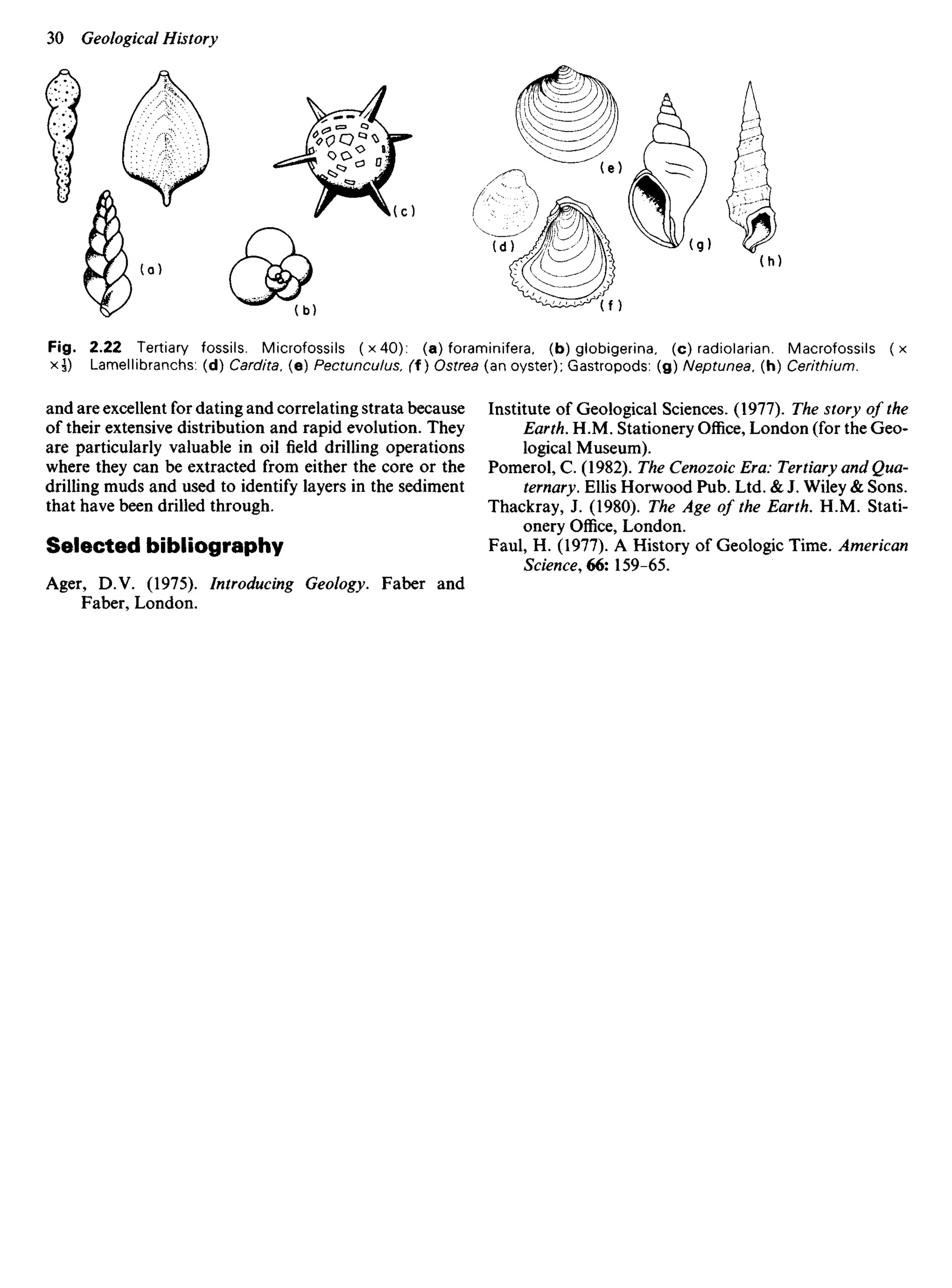 and are excellent for dating and correlating strata because
of their extensive distribution and rapid evolution. They
are particularly valuable in oil field drilling operations
where they can be extracted from either the core or the
drilling muds and used to identify layers in the sediment
that have been drilled through.
Selected bibliography
Ager, D.V. (1975). Introducing Geology. Faber and
Faber, London.
Institute of Geological Sciences. (1977). The story of the
Earth. H.M. Stationery Office, London (for the Geo-
logical Museum).
Pomerol, C. (1982). The Cenozoic Era: Tertiary and Qua-
ternary. Ellis Horwood Pub. Ltd. & J. Wiley & Sons.
Thackray, J. (1980). The Age of the Earth. H.M. Stati-
onery Office, London.
Faul, H. (1977). A History of Geologic Time. American
Science, 66: 159-65.
Fig. 2.22 Tertiary fossils. Microfossils (x40): (a) foraminifera, (b) globigerina, (c) radiolarian. Macrofossils (x
x^) Lamellibranchs: (d) Cardita. (e) Pectunculus, (f) Ostrea (an oyster); Gastropods: (g) Neptunea. (h) Cerithium.
 