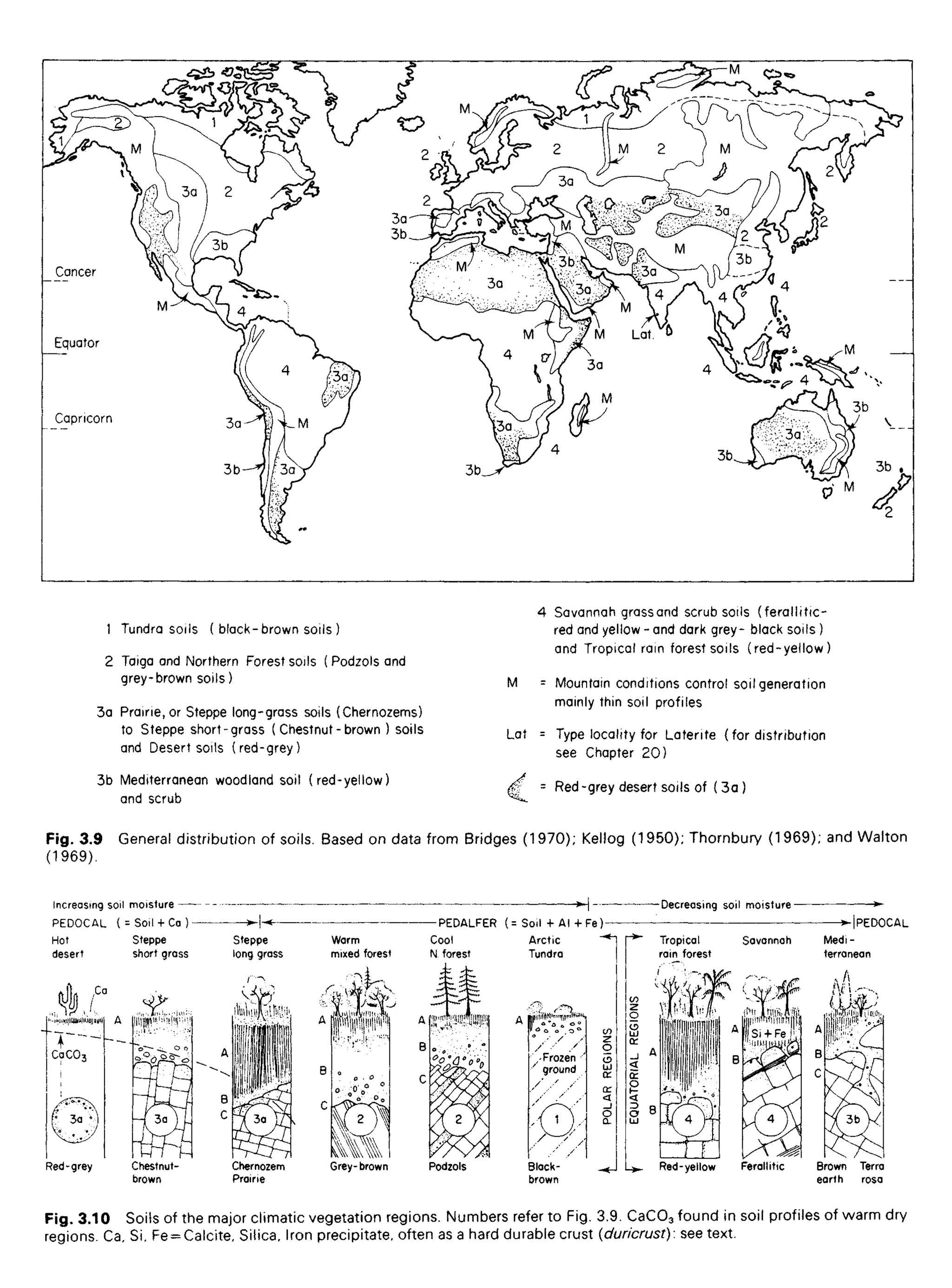 1 Tundra soils ( black- brown soils )
2 Taiga and Northern Forest soils ( Podzols and
grey-brown soils)
3a Prairie, or Steppe long-grass soils (Chernozems)
to Steppe short-grass ( Chestnut-brown ) soils
and Desert soils (red-grey)
3b Mediterranean woodland soil (red-yellow)
and scrub
Savannah grassand scrub soils (ferallitic-
red and yellow - and dark grey- black soils )
and Tropical rain forest soils (red-yellow)
Mountain conditions control soil generation
mainly thin soil profiles
Type locality for Latente (for distribution
see Chapter 20)
Red-grey desert soils of ( 3a )
Cancer
Equator
Capricorn
Fig. 3.9 General distribution of soils. Based on data from Bridges (1970); Kellog (1950); Thornbury (1969); and Walton
(1969).
Increasing soil moisture Decreasing soil moisture
Hot
desert
Steppe
short grass
Steppe
long grass
Warm
mixed forest
Cool
N forest
Arctic
Tundra
PEDALFER (= Soil + A l +Fe)
Tropical
rain forest
Savannah Medi-
terranean
PEDOCAL
Red-grey Chestnut-
brown
Chernozem
Prairie
Grey-brown Podzols
Frozen
ground
Black-
brown
POLAR
REGIONS
EQUATORIAL
REGIONS
Red-yellow Ferallitic Brown
earth
Terra
rosa
Fig. 3.10 Soils of the major climatic vegetation regions. Numbers refer to Fig. 3.9. CaCO3 found in soil profiles of warm dry
regions. Ca, Si, Fe = Calcite, Silica, Iron precipitate, often as a hard durable crust (duricrust): see text.
 