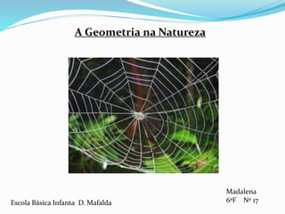 A Geometria na Natureza
Escola Básica Infanta D. Mafalda
Madalena
6ºF Nº 17
 