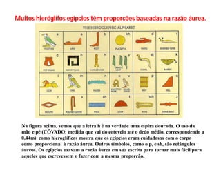 Muitos hieróglífos egípcios têm proporções baseadas na razão áurea.




  Na figura acima, vemos que a letra h é na verdade uma espira dourada. O uso da
  mão e pé (CÔVADO: medida que vai do cotovelo até o dedo médio, correspondendo a
  0,44m) como hieroglíficos mostra que os egípcios eram cuidadosos com o corpo
  como proporcional à razão áurea. Outros símbolos, como o p, e sh, são retângulos
  áureos. Os egípcios usavam a razão áurea em sua escrita para tornar mais fácil para
  aqueles que escrevessem o fazer com a mesma proporção.
 