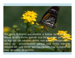Nós seres humanos percebemos a beleza ou sentimos a
beleza de uma forma quando essa forma segue um padrão
ou algo que não sabemos definir, mas que está embutido em
nosso ser, provavelmente porque esta forma mantém
relações em suas linhas que nos causam essa sensação do
belo, do bonito, do perfeito.
 