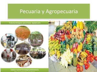 Pecuaria y Agropecuaria

 