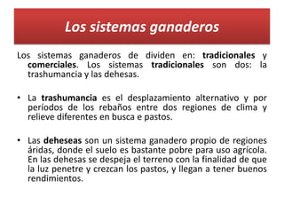 Los sistemas ganaderos
Los sistemas ganaderos de dividen en: tradicionales y
comerciales. Los sistemas tradicionales son dos: la
trashumancia y las dehesas.
• La trashumancia es el desplazamiento alternativo y por
períodos de los rebaños entre dos regiones de clima y
relieve diferentes en busca e pastos.
• Las deheseas son un sistema ganadero propio de regiones
áridas, donde el suelo es bastante pobre para uso agrícola.
En las dehesas se despeja el terreno con la finalidad de que
la luz penetre y crezcan los pastos, y llegan a tener buenos
rendimientos.

 